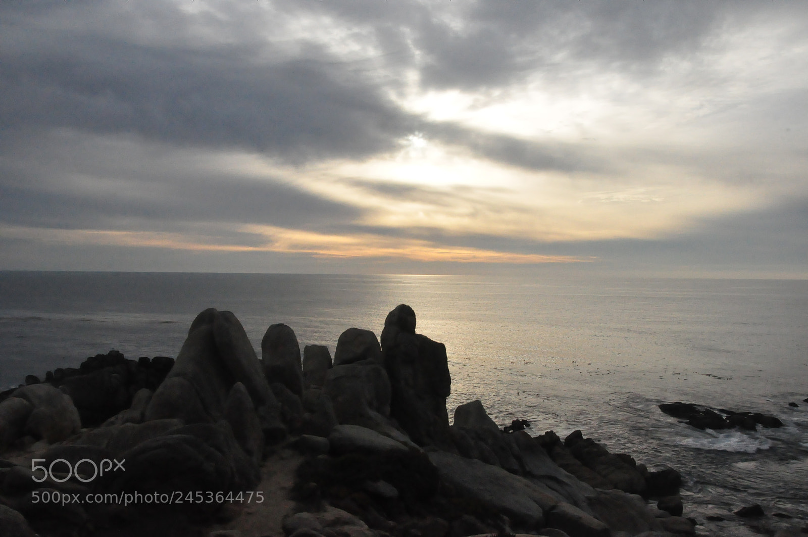 Nikon D90 sample photo. 17 mile drive,, san francisco photography