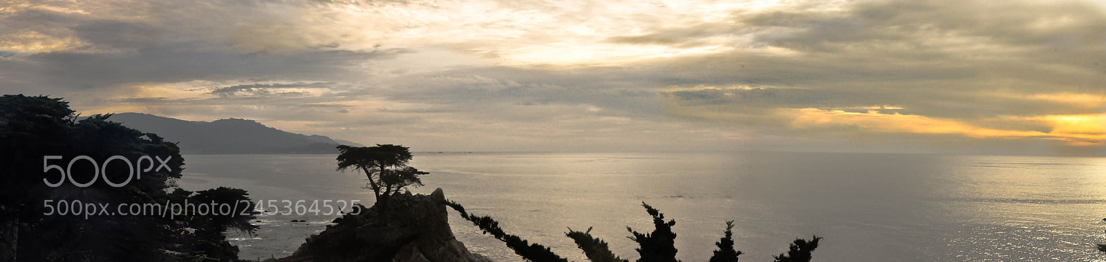 Nikon D90 sample photo. 17 mile drive, san francisco photography