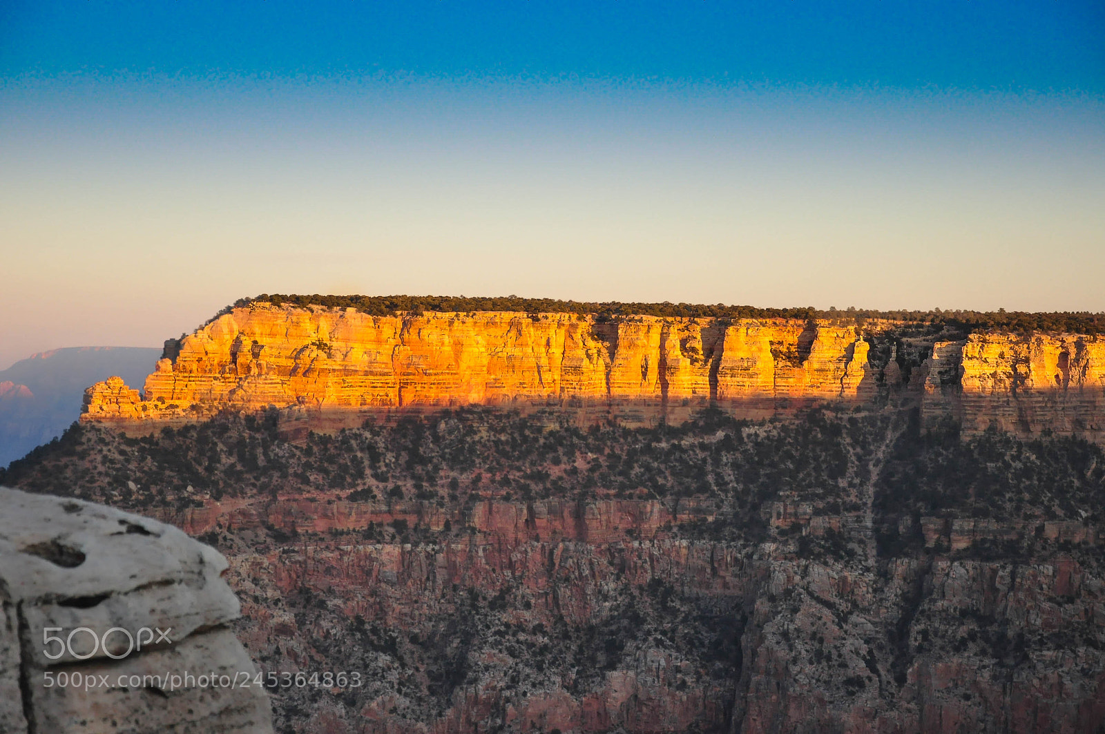 Nikon D90 sample photo. Grand canyon national park photography
