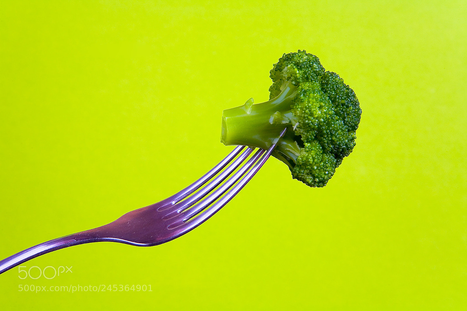 Canon EOS 5D sample photo. Broccoli is planted on photography