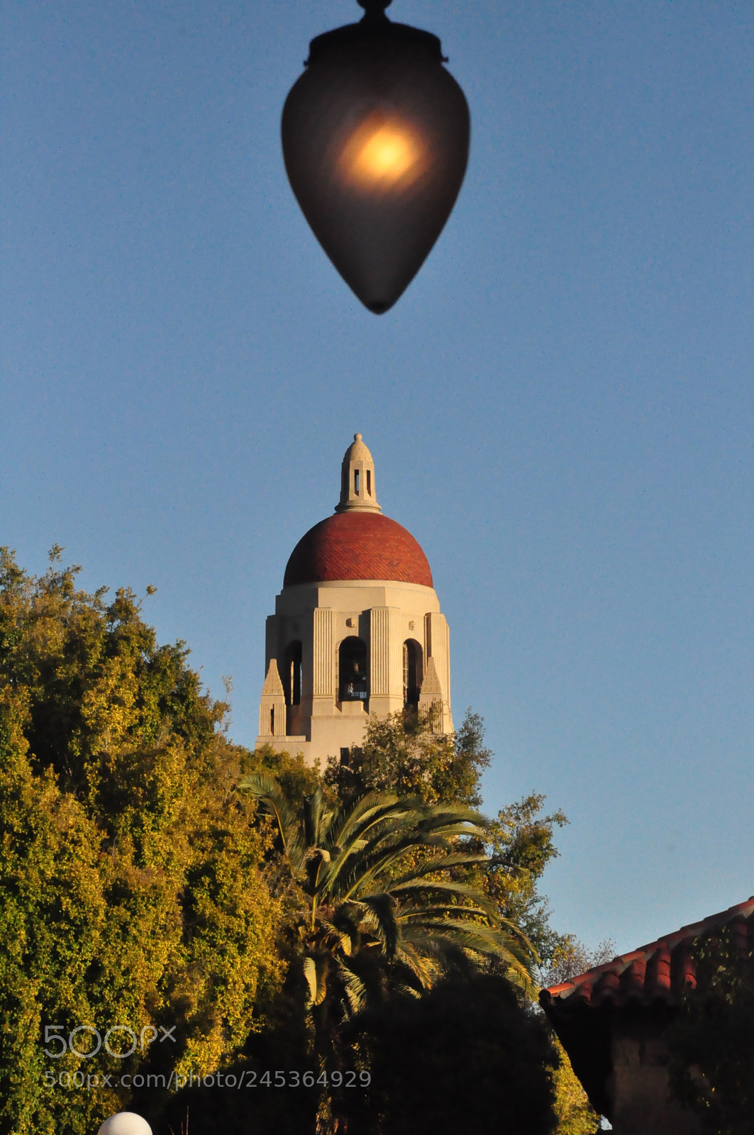 Nikon D90 sample photo. Stanford university photography