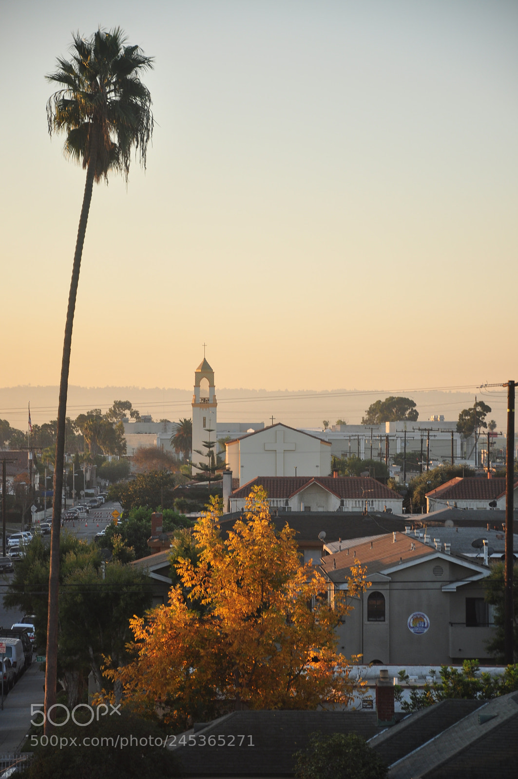 Nikon D90 sample photo. Los angeles photography