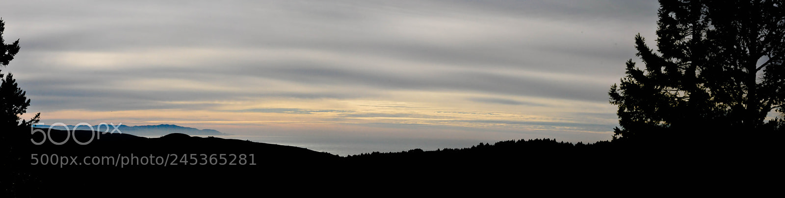 Nikon D90 sample photo. Muir woods photography