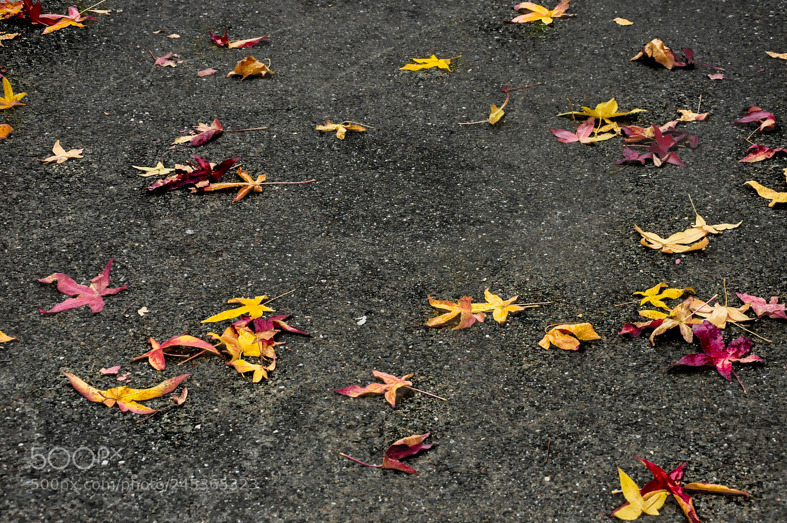 Nikon D90 sample photo. Sausalito california photography