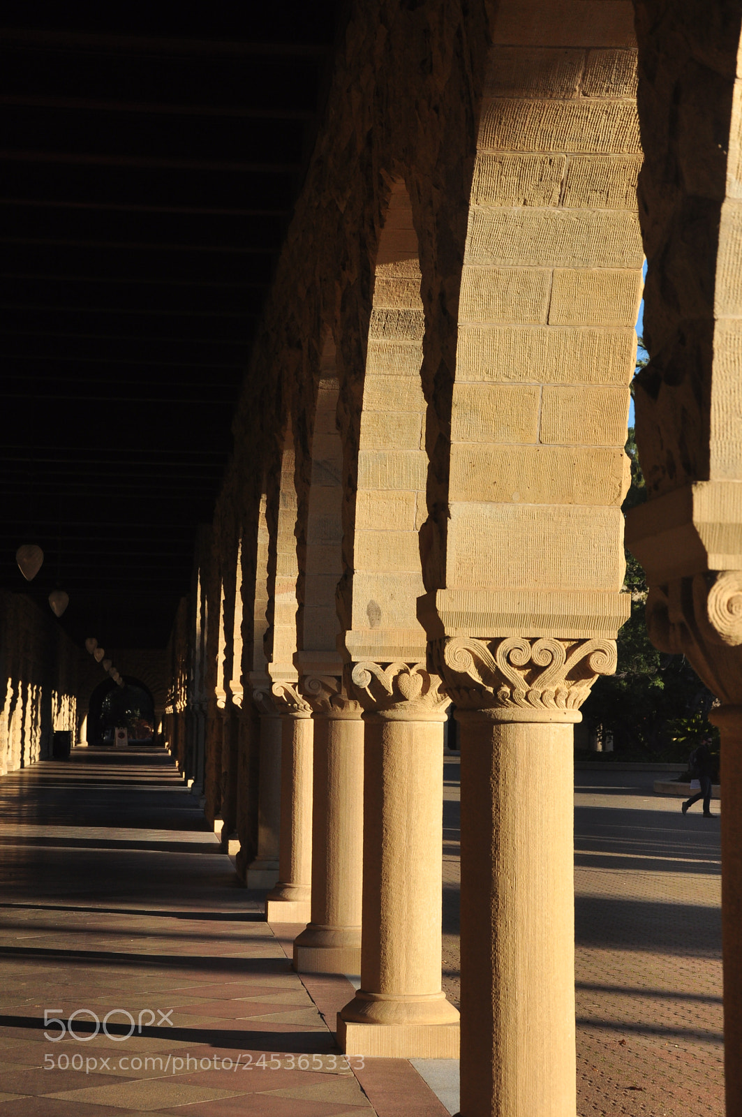 Nikon D90 sample photo. Stanford uni, san francisco photography
