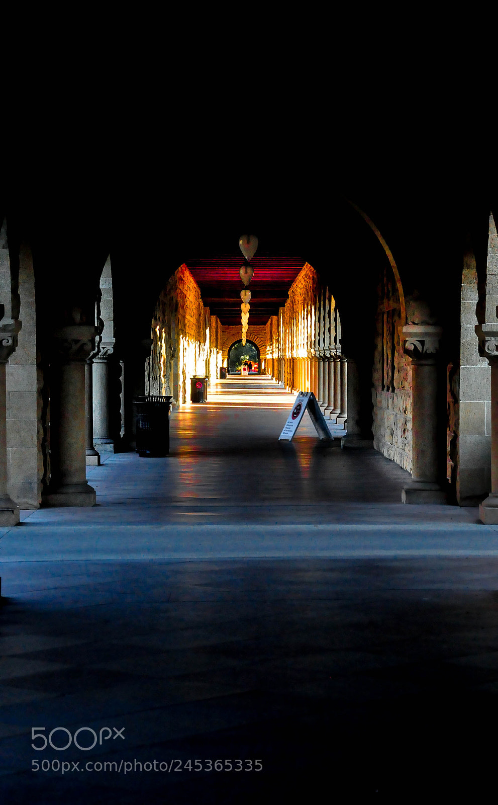 Nikon D90 sample photo. Stanford uni, san francisco photography