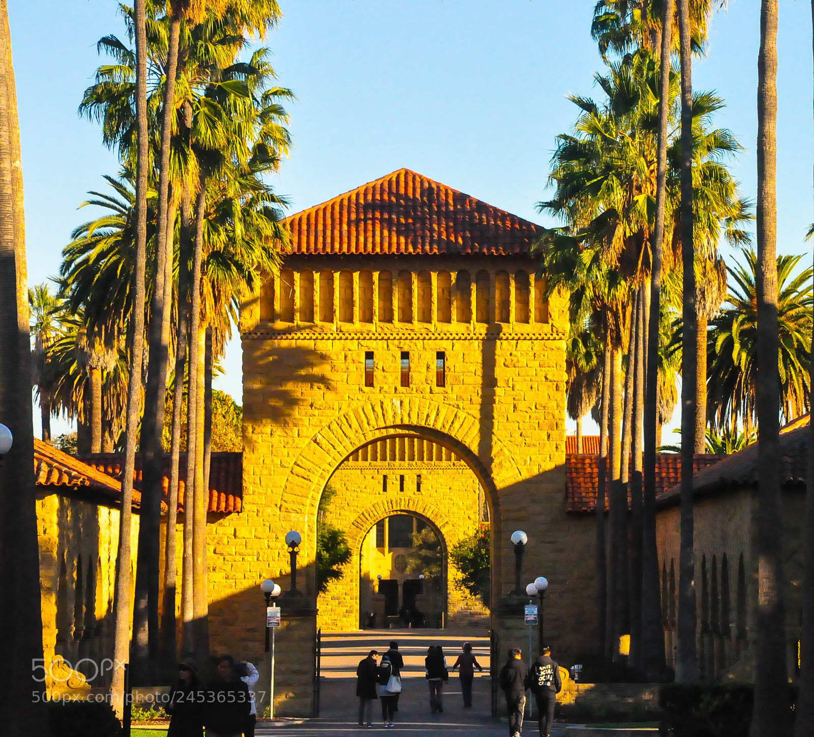 Nikon D90 sample photo. Stanford uni, san francisco photography