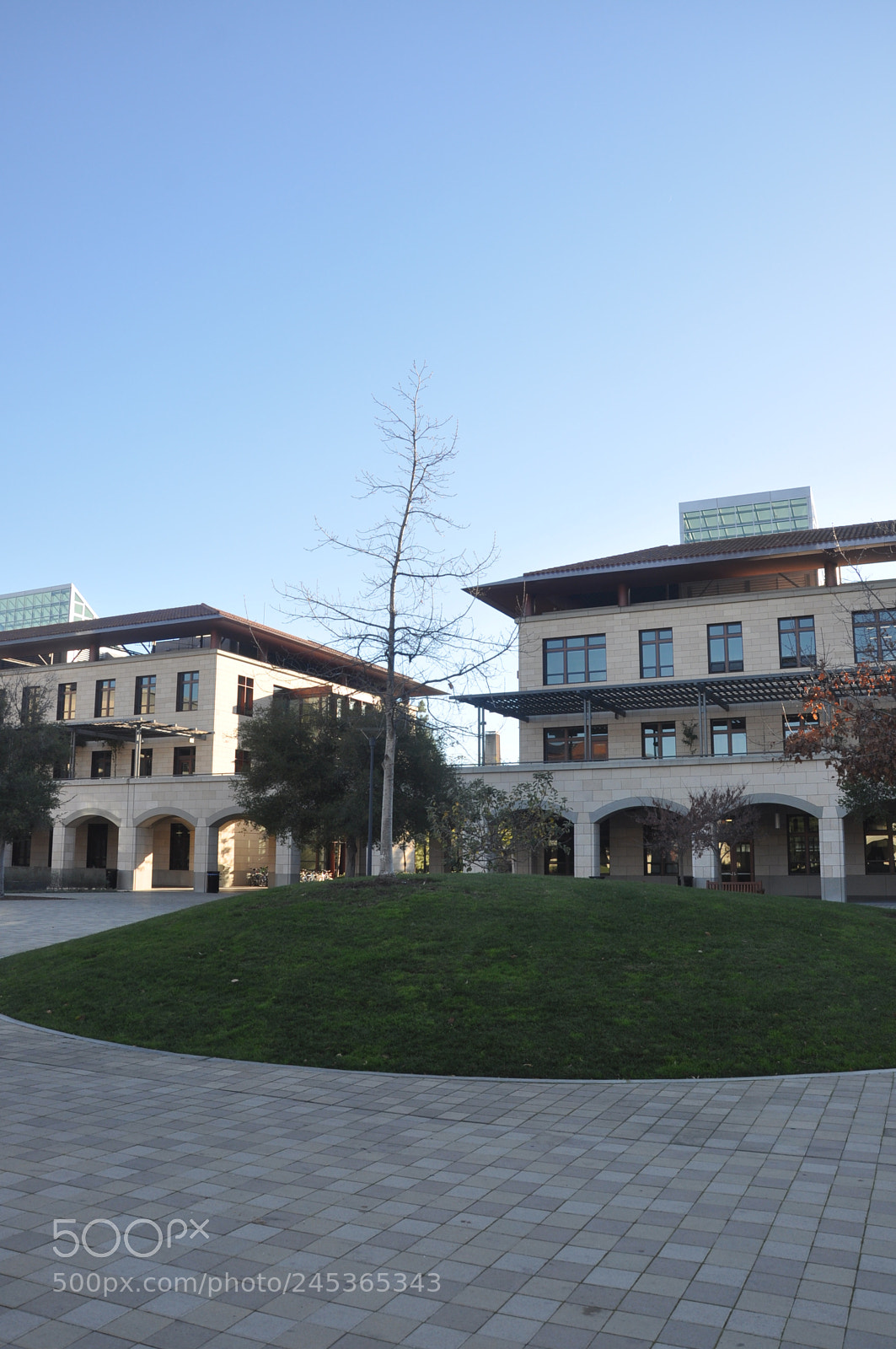 Nikon D90 sample photo. Stanford uni, san francisco photography