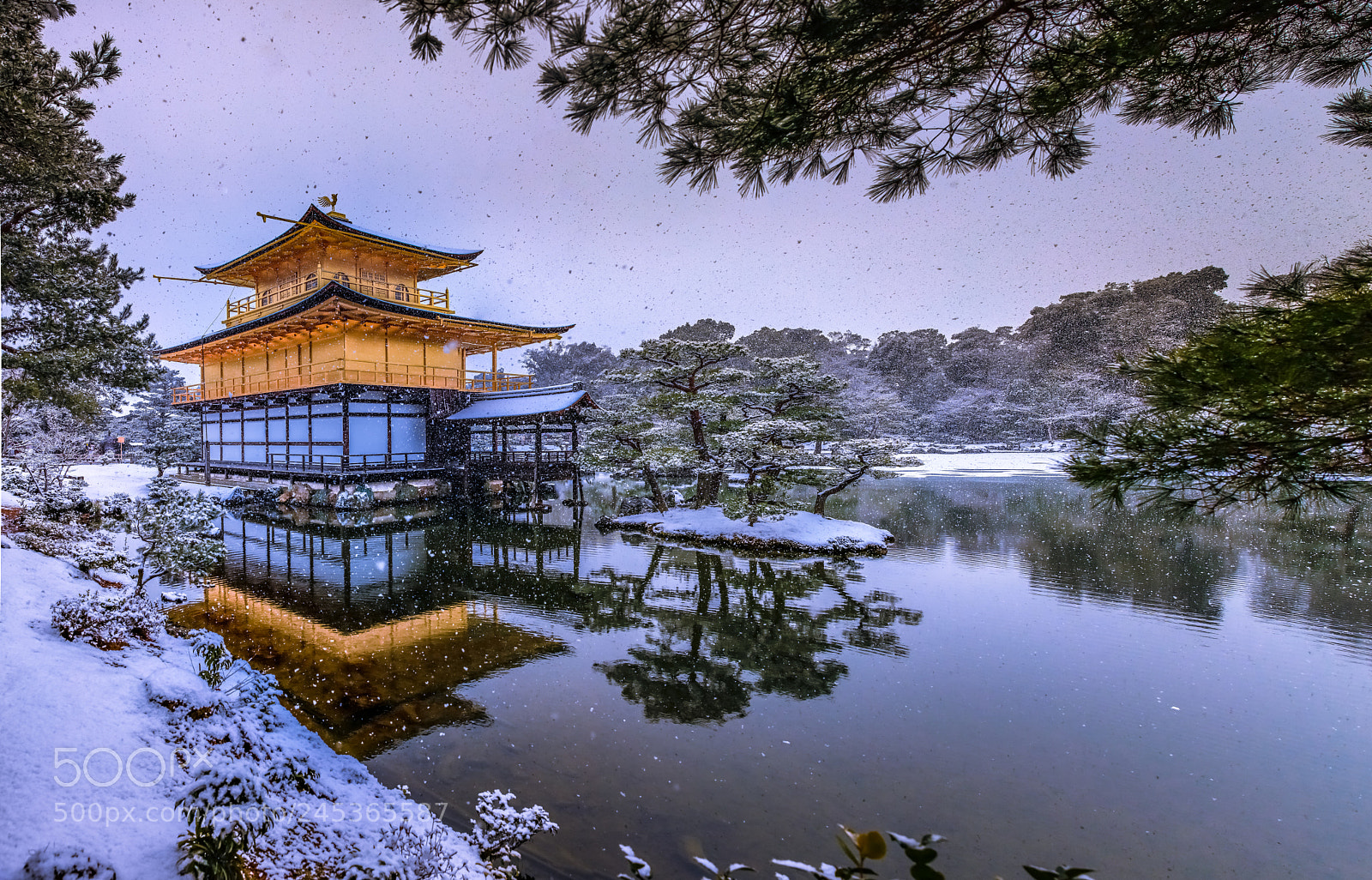 Canon EOS 5DS R sample photo. Kinkakuji photography