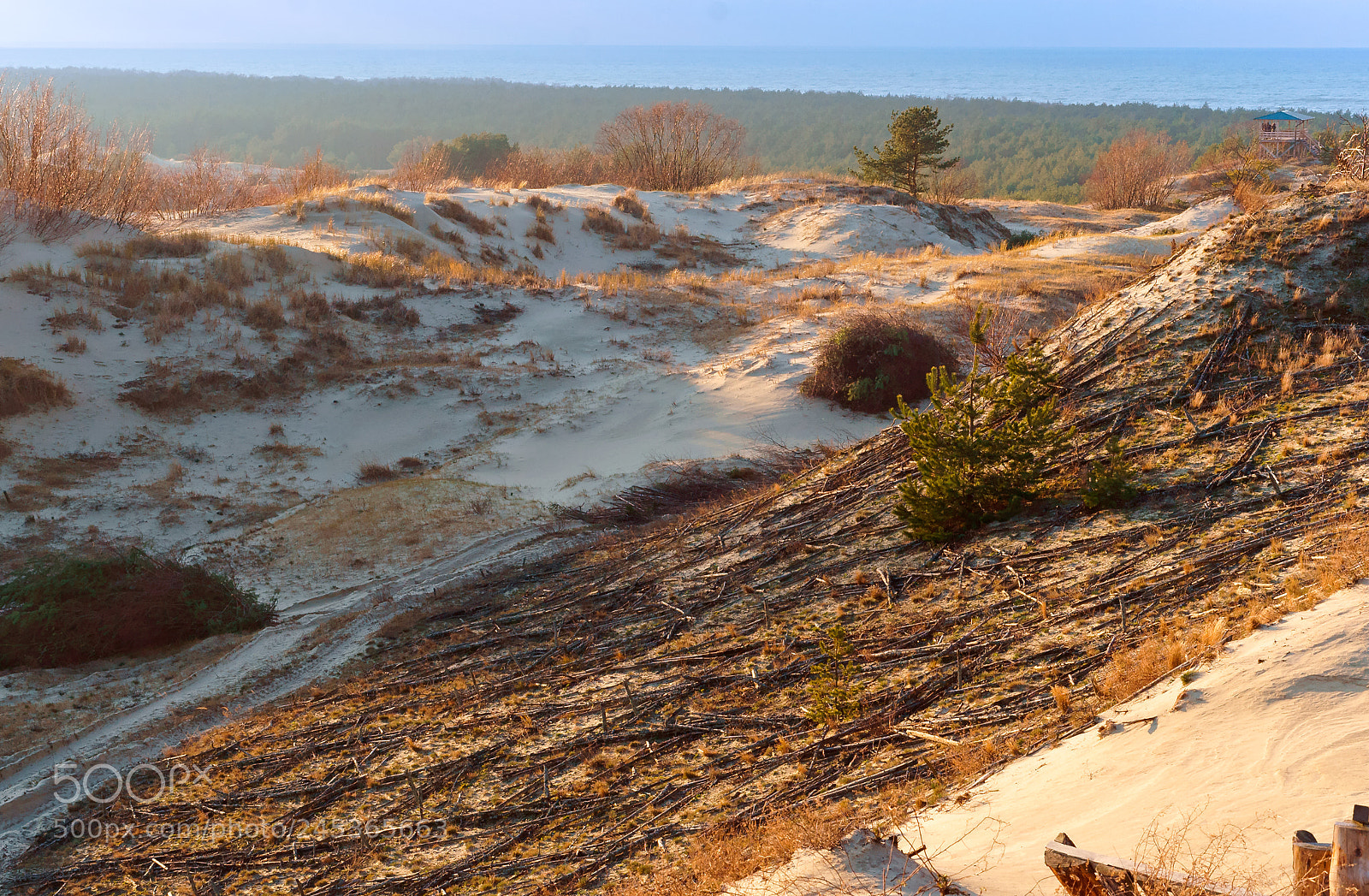Sony Alpha NEX-3N sample photo. Sand dune, the sand photography