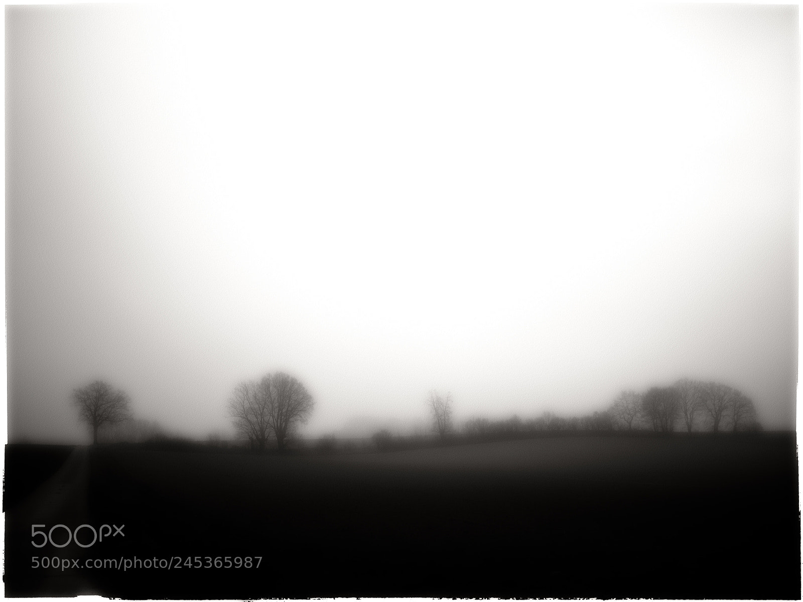 Panasonic Lumix DMC-GF1 sample photo. Pajottenland serie photography