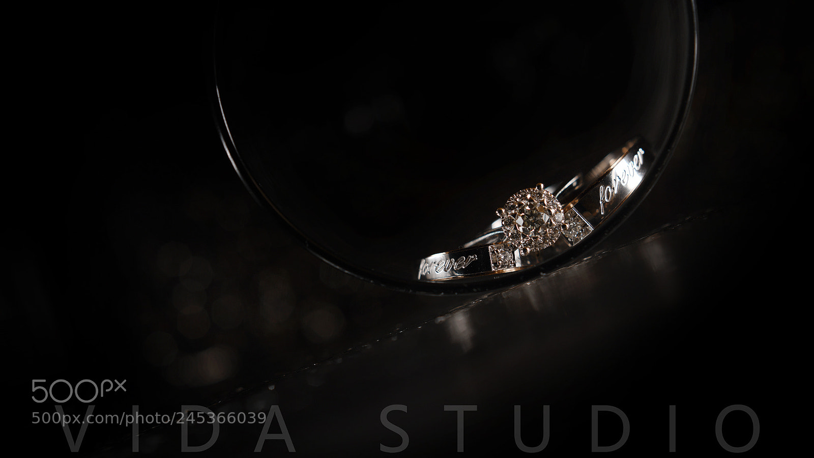 Nikon D850 sample photo. Untitled photography