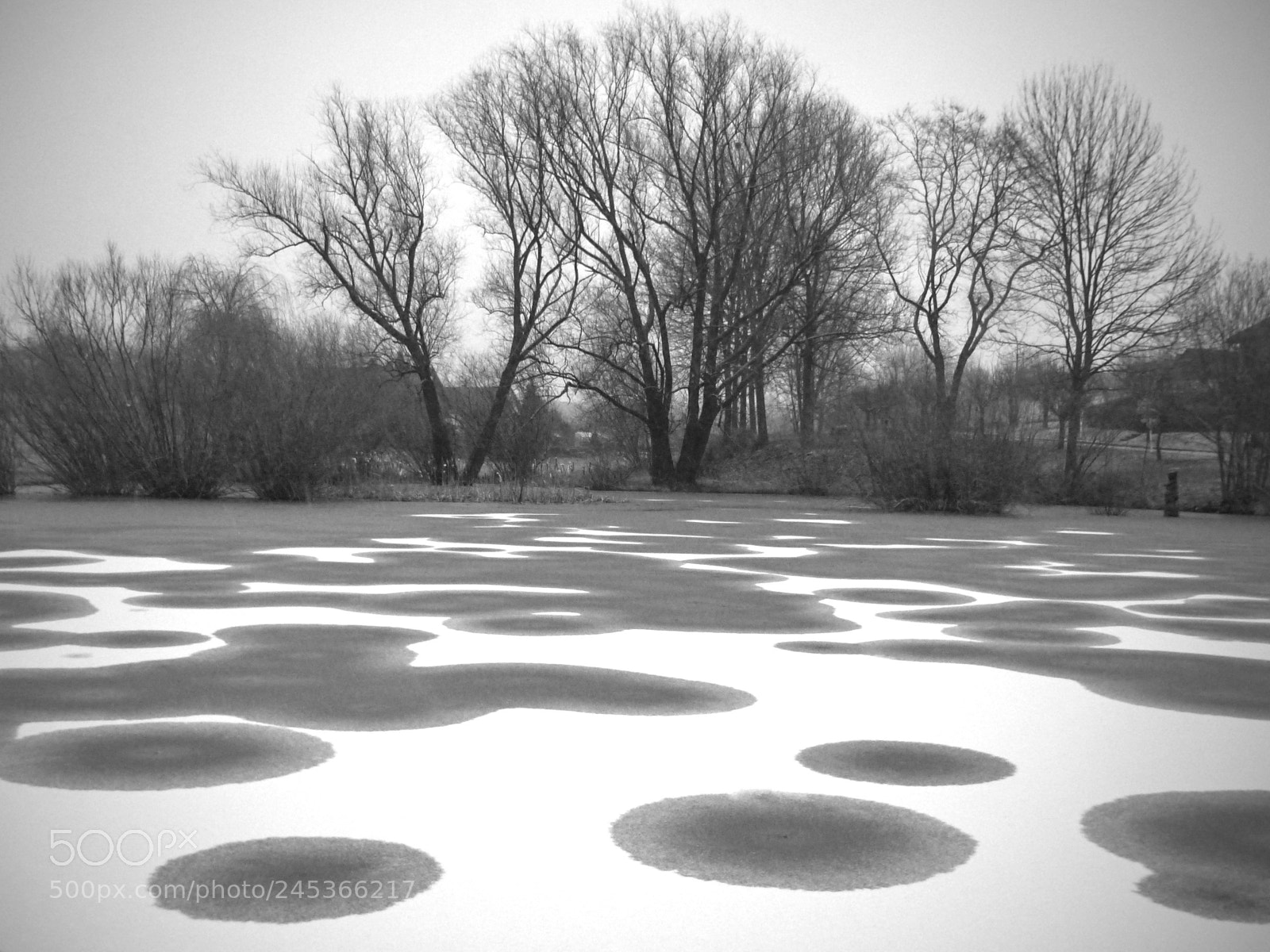 Panasonic Lumix DMC-FZ200 sample photo. Circles photography