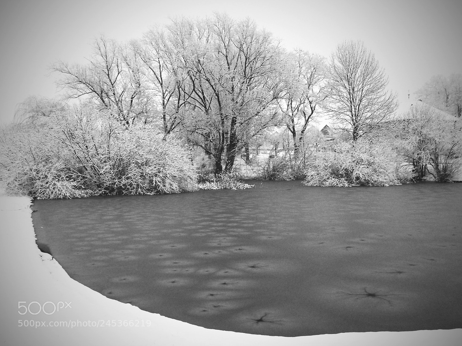 Panasonic Lumix DMC-FZ200 sample photo. Frozen photography