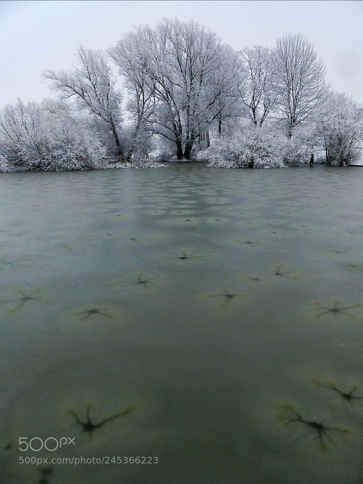 Panasonic Lumix DMC-FZ200 sample photo. Frozen pond photography