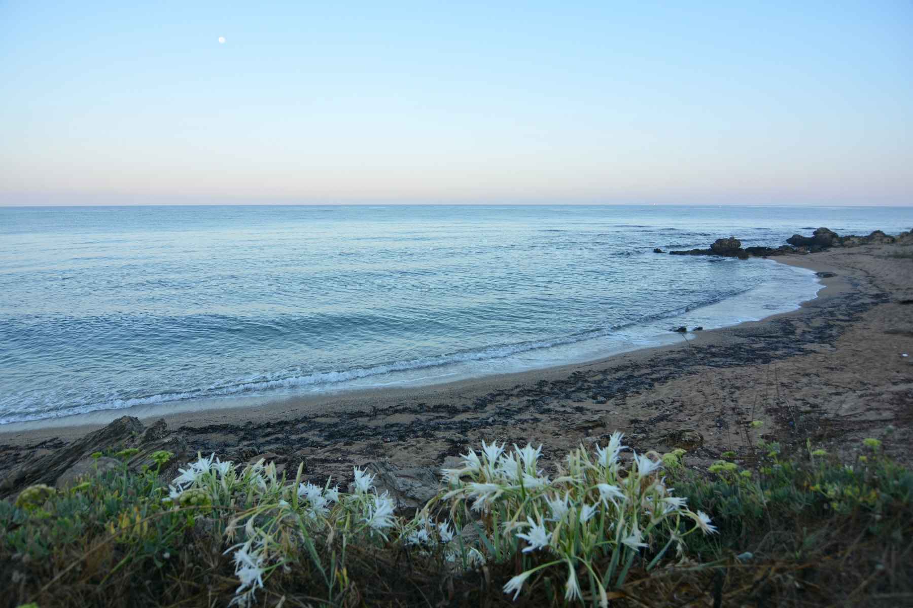 Nikon D7100 sample photo. #77 photography