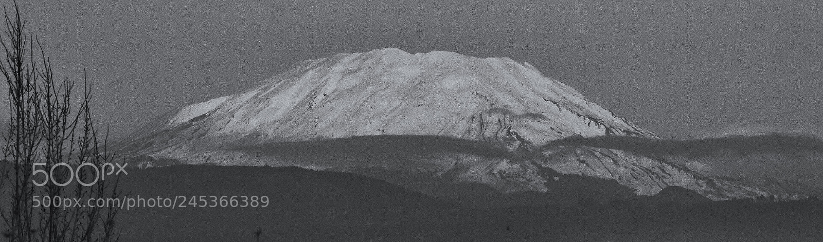 Nikon D3400 sample photo. Black and white mount photography