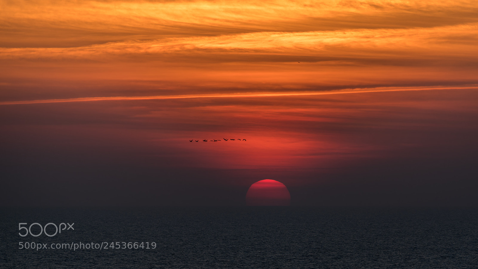 Nikon D850 sample photo. Burning sky photography