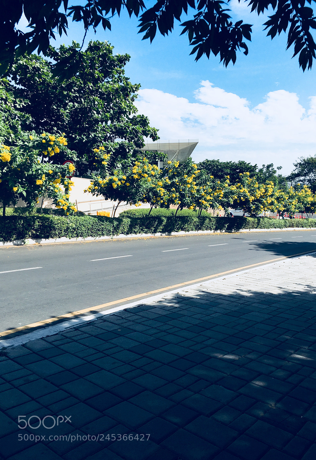 Apple iPhone 6s sample photo. Untitled photography