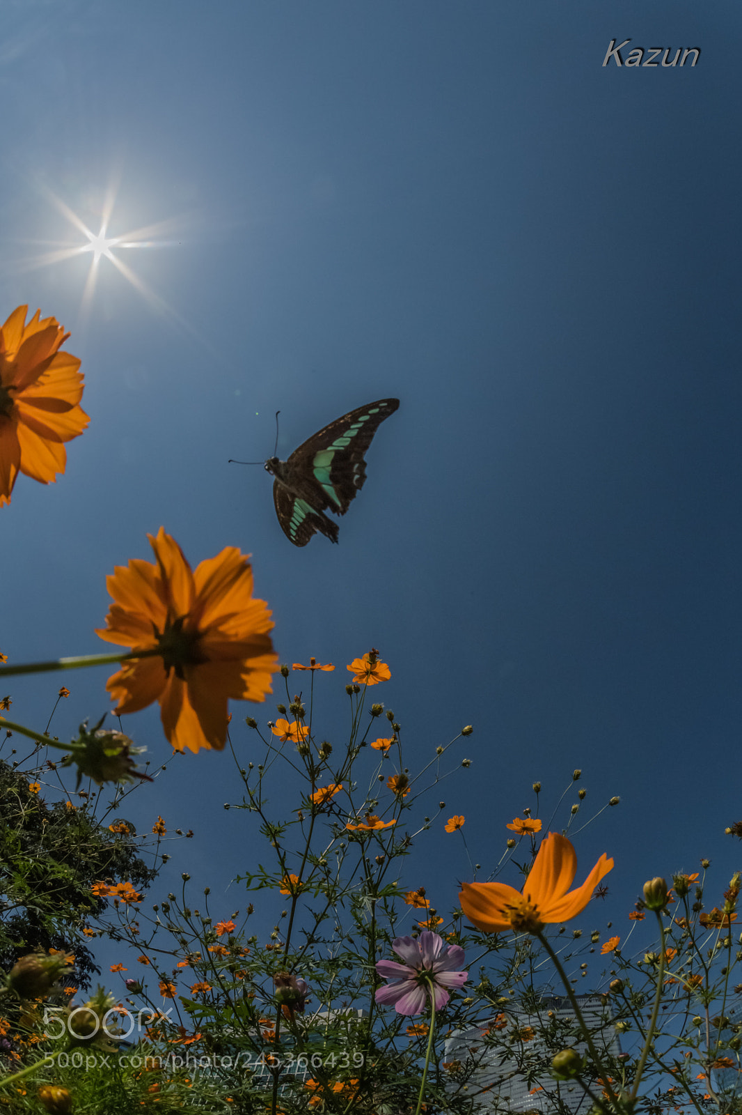 Nikon D5 sample photo. Time　stop! photography