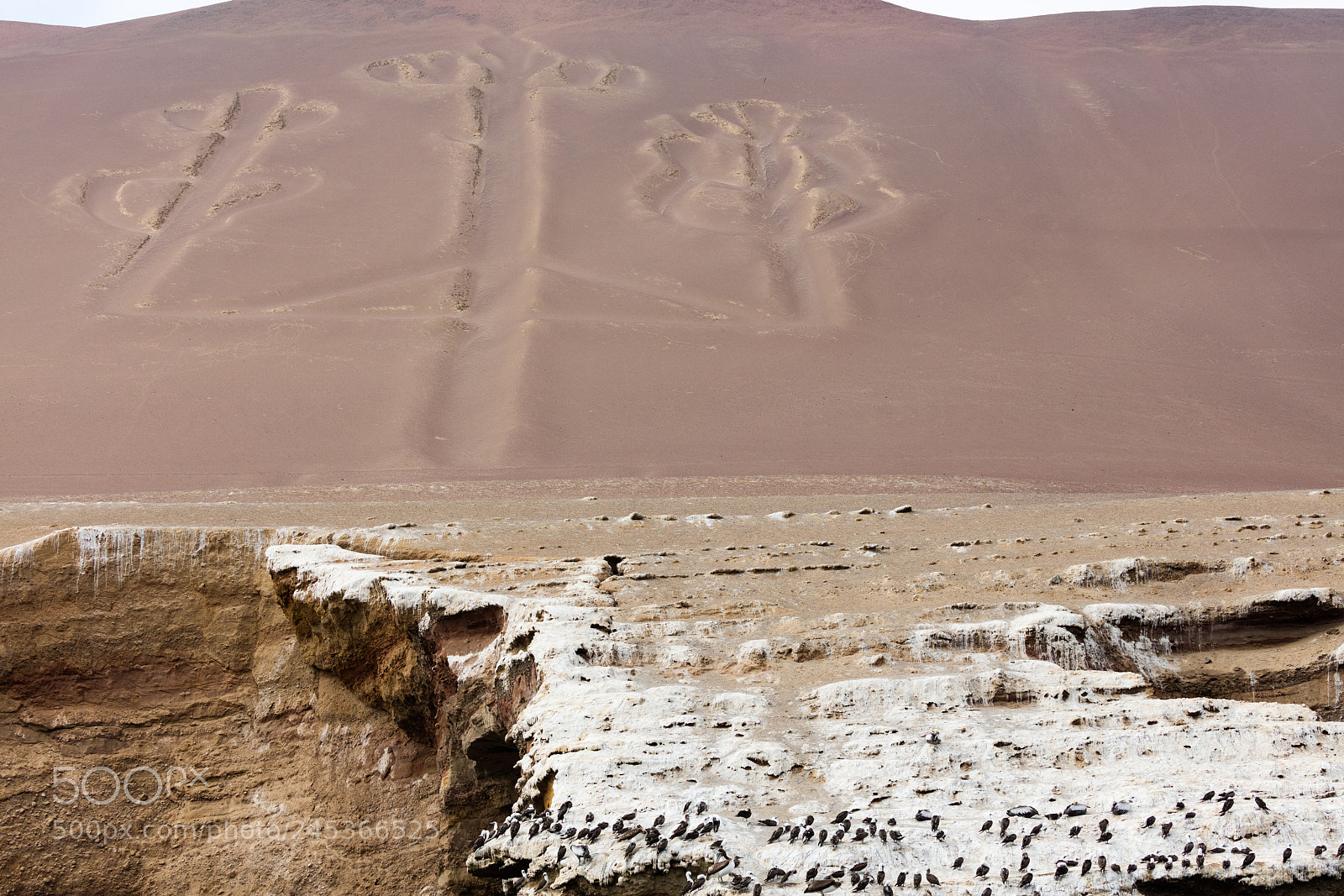 Canon EOS 5DS R sample photo. Ballestas candelabrum mark photography