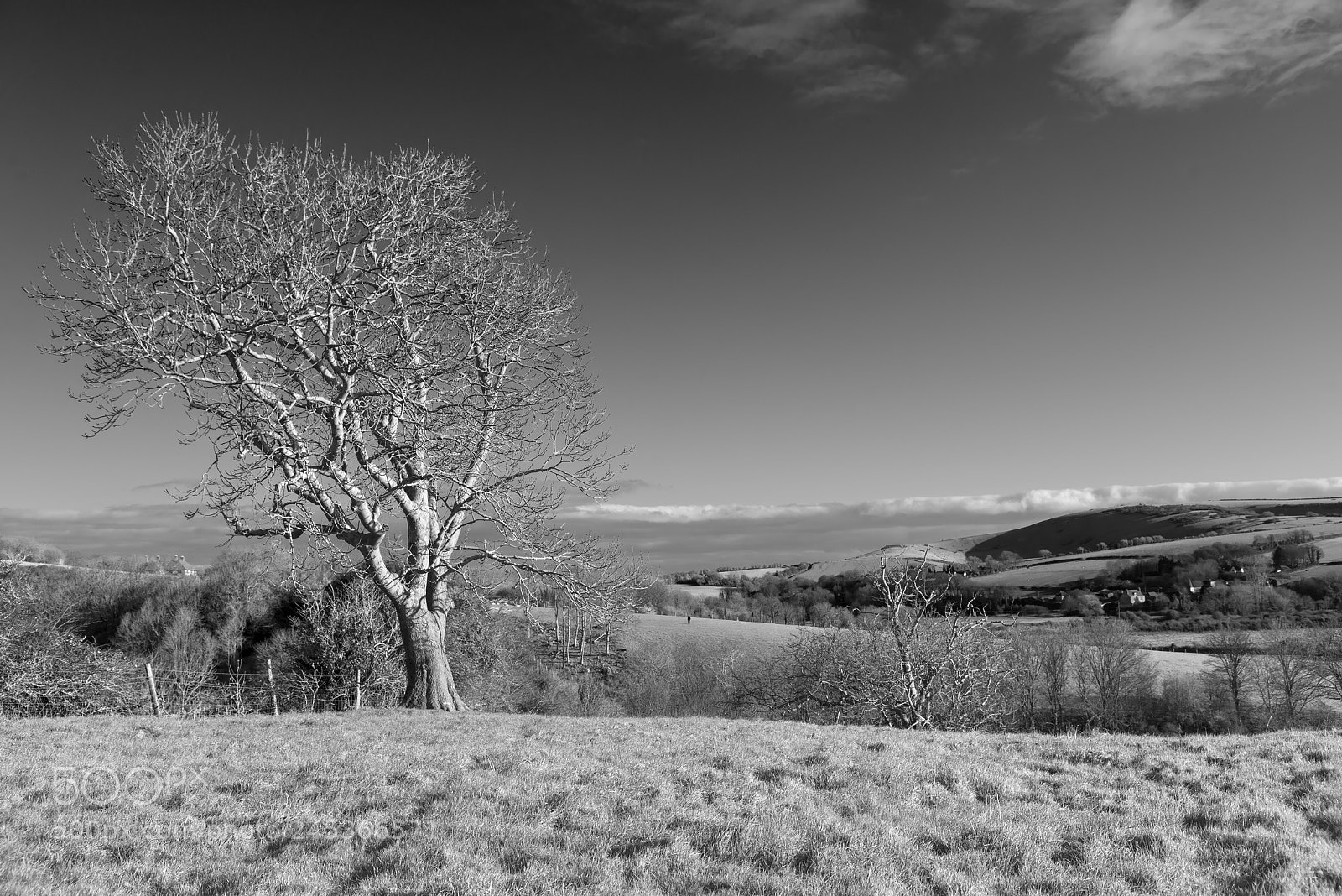 Nikon D800 sample photo. Lovely english countryside black photography