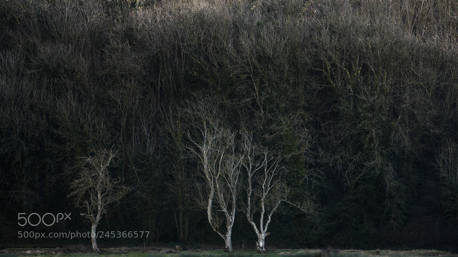 Nikon D800 sample photo. Fine art landscape image photography