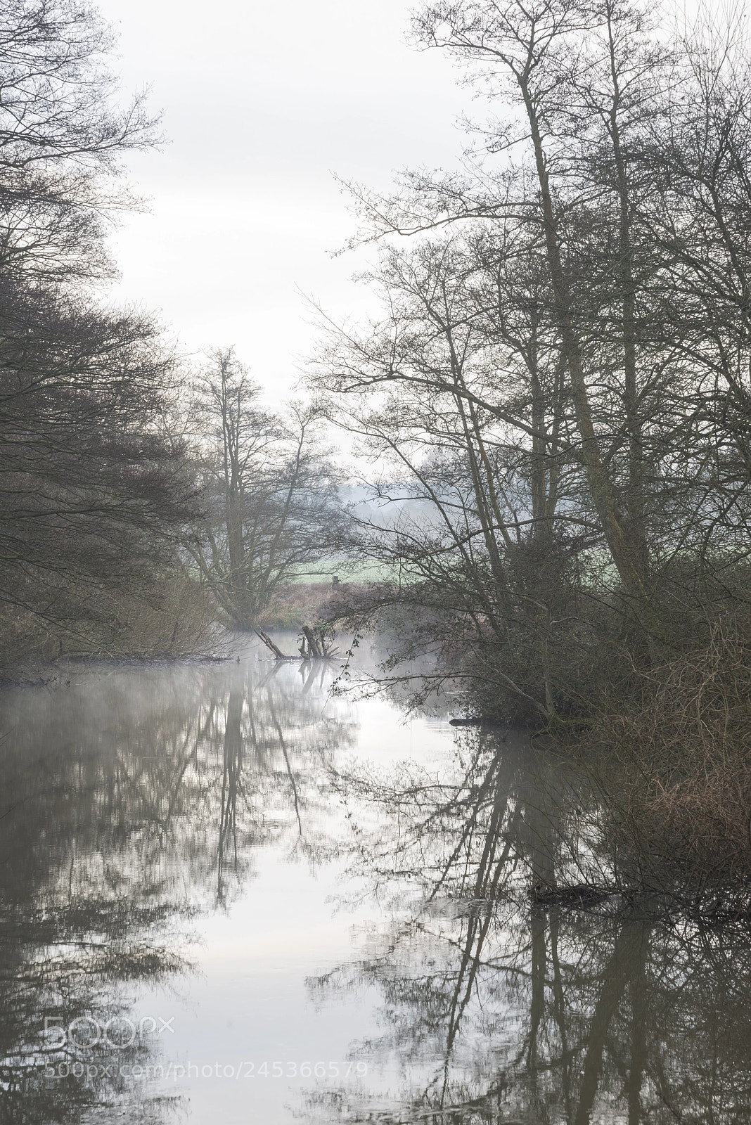 Nikon D800 sample photo. Low hanging misty morning photography