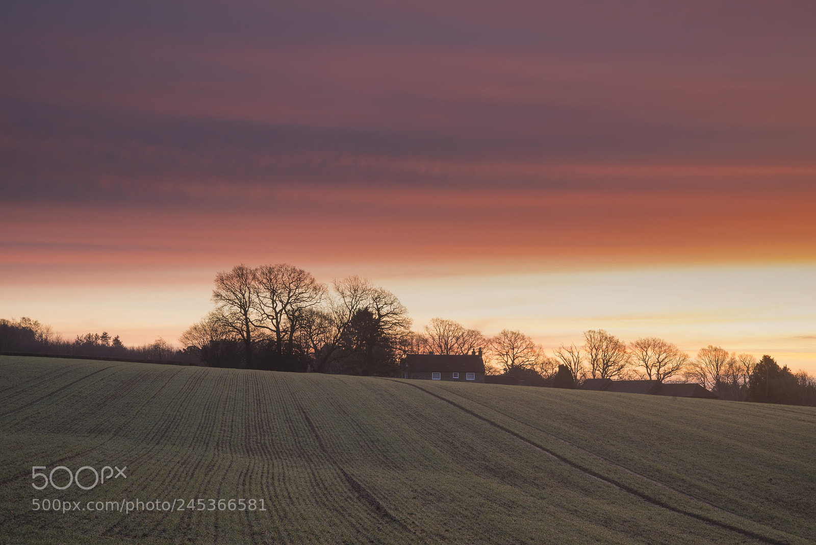 Nikon D800 sample photo. Beautiful vibrant winter sunrise photography