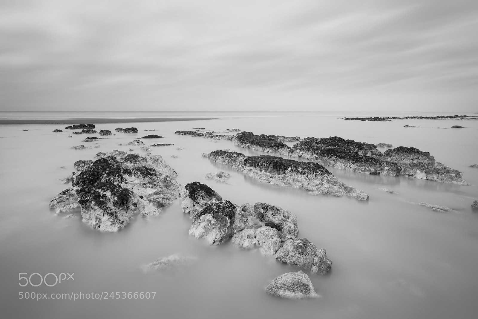 Nikon D800 sample photo. Stunning black and white photography