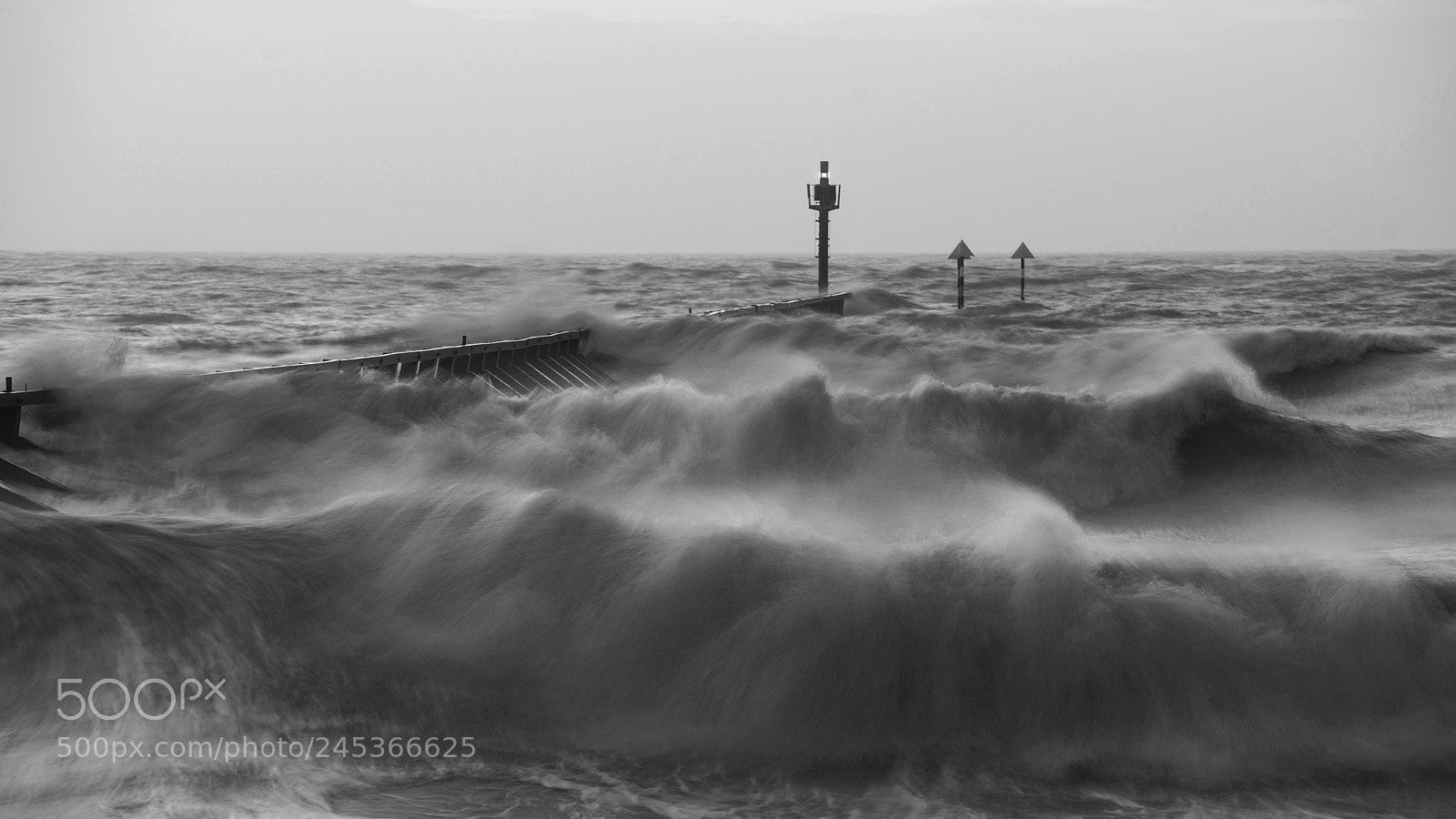 Nikon D800 sample photo. Beautiful dramatic black and photography