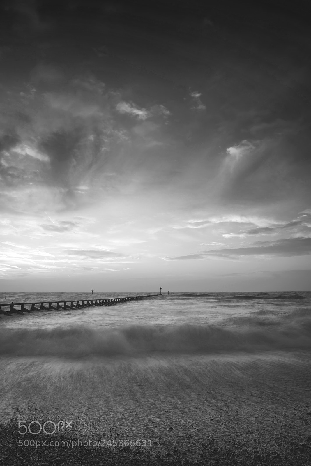 Nikon D800 sample photo. Beautiful dramatic black and photography