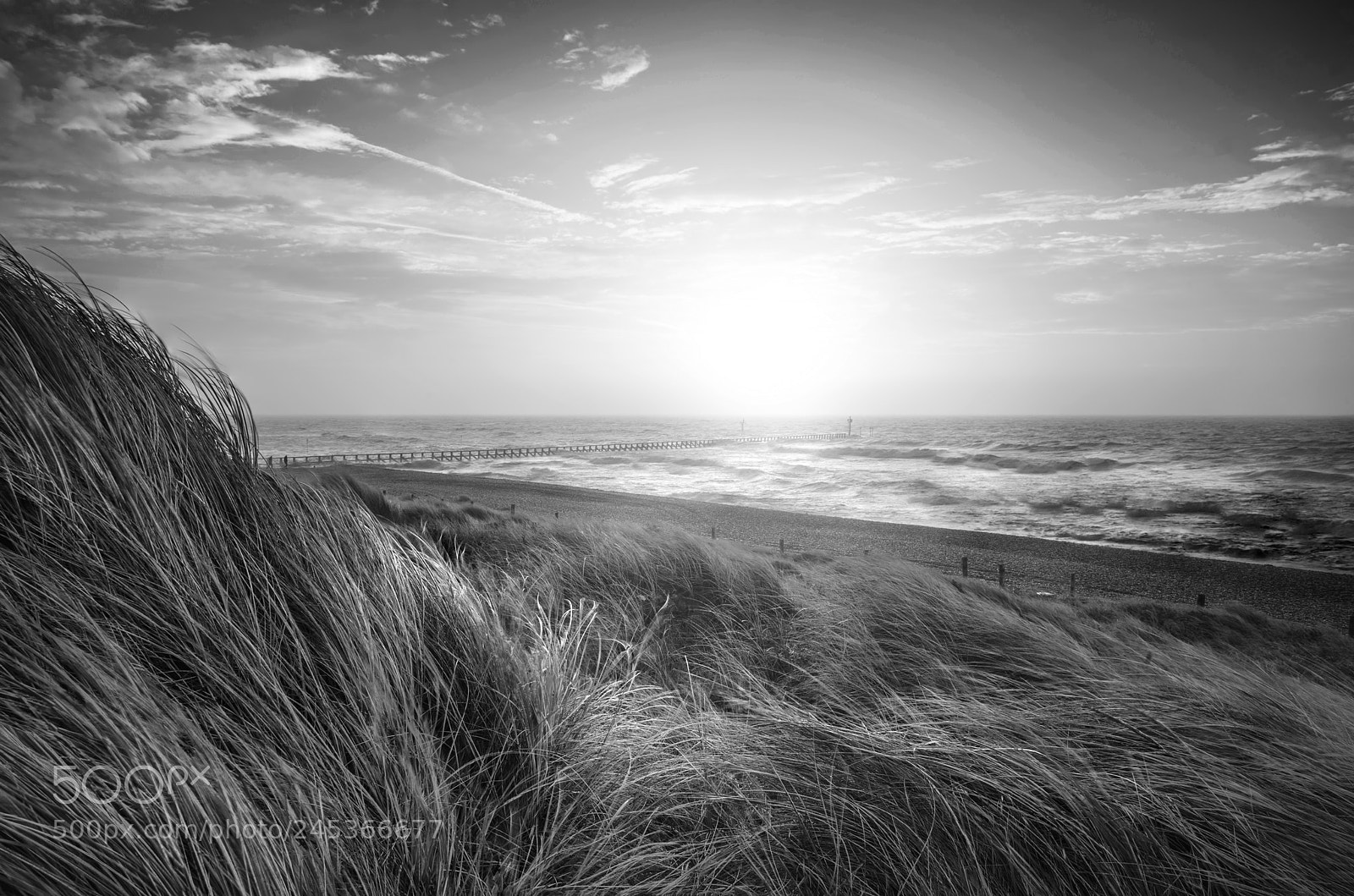 Nikon D800 sample photo. Beautiful black and white photography