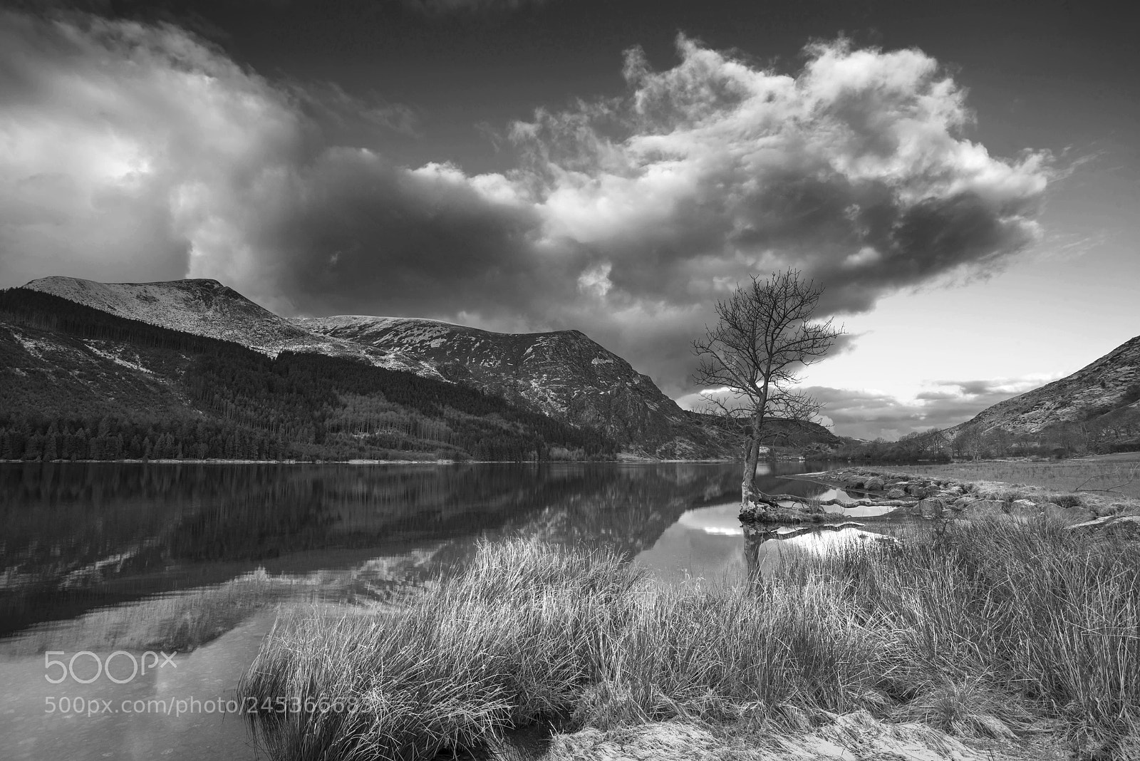 Nikon D800 sample photo. Stunning black and white photography