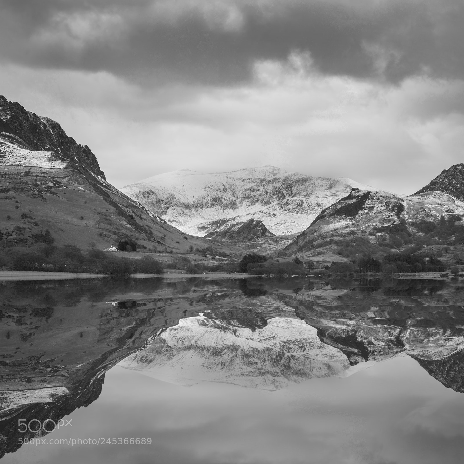 Nikon D800 sample photo. Beautiful black and white photography