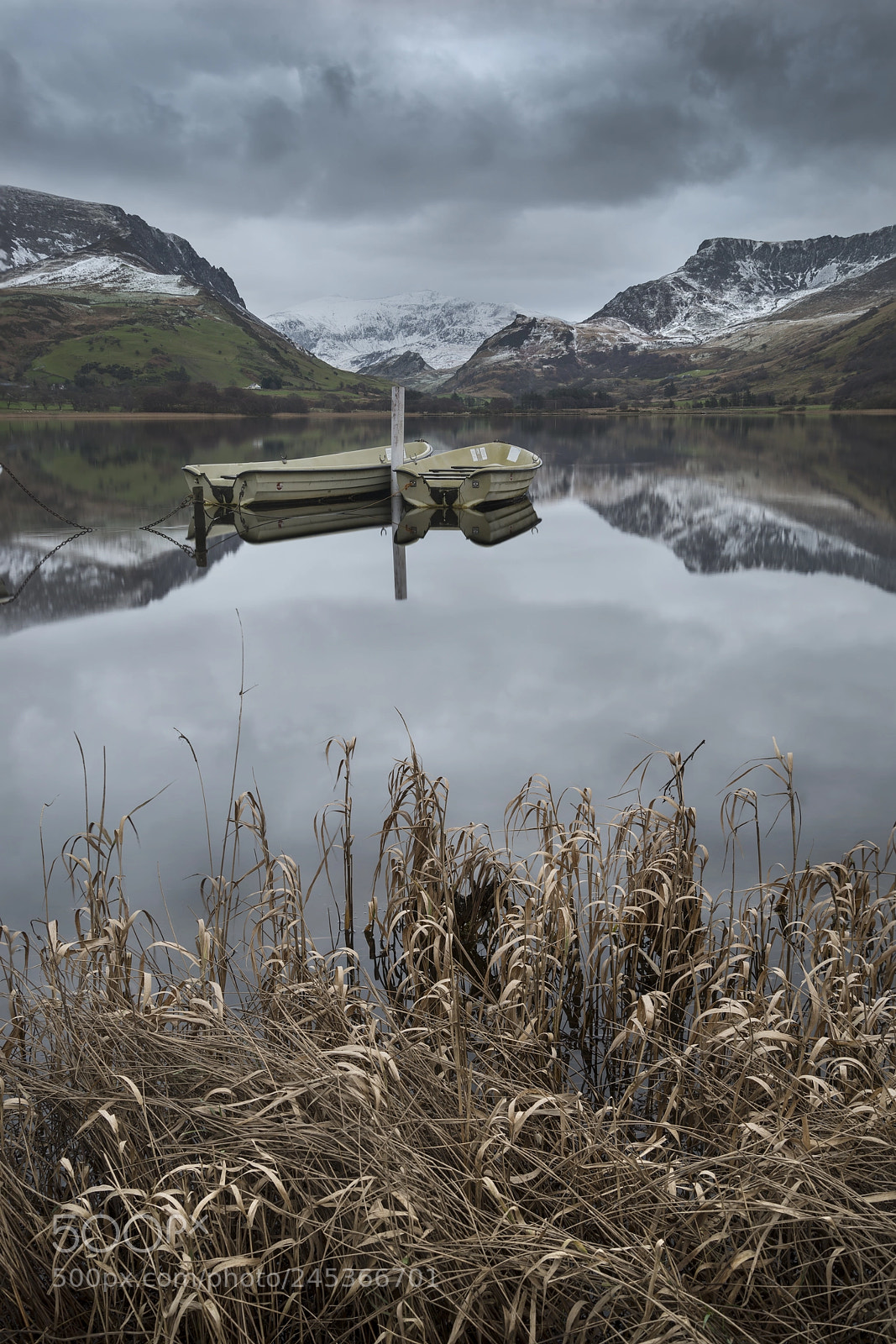 Nikon D800 sample photo. Beautiful winter landscape image photography