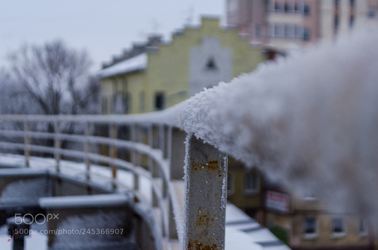 Nikon D5100 sample photo. Морозное утро photography