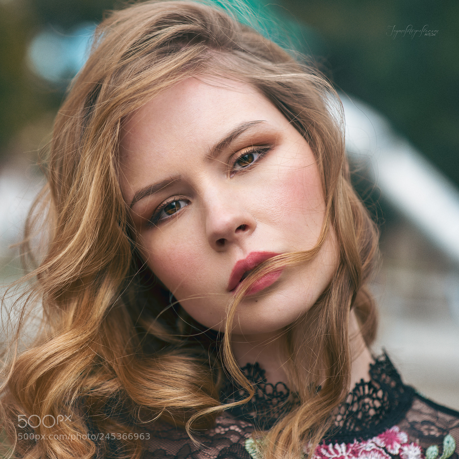 Nikon D810 sample photo. Kris g photography