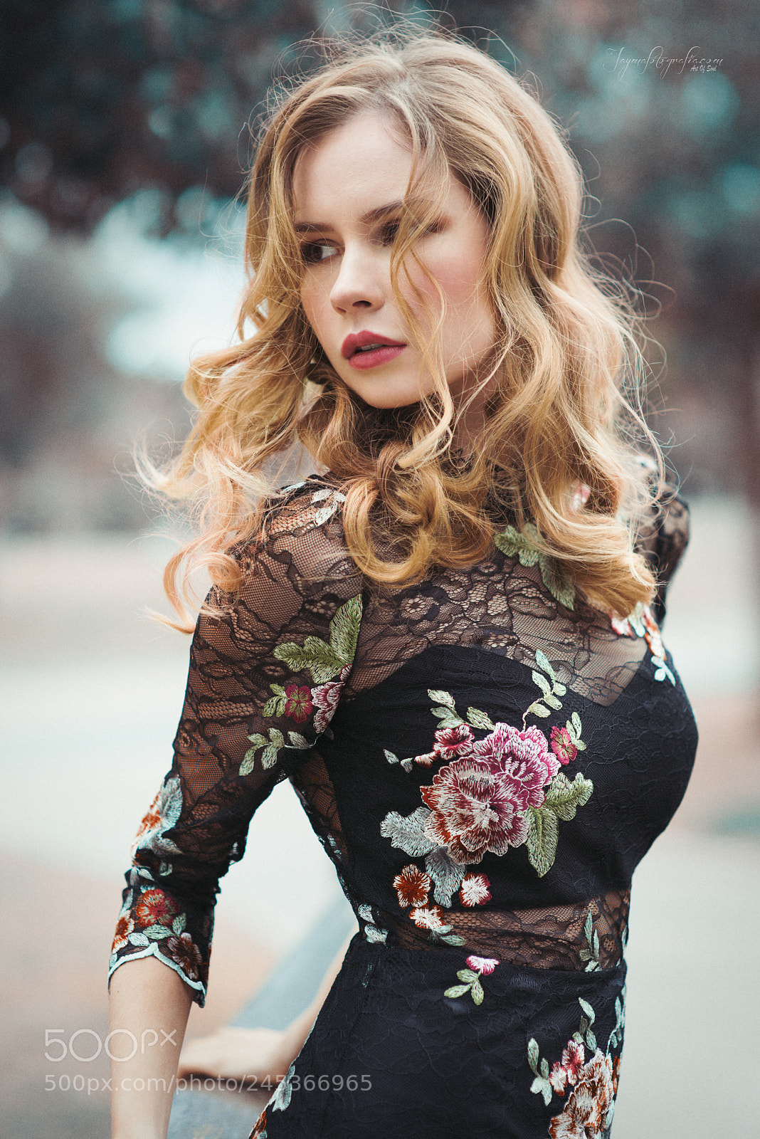 Nikon D810 sample photo. Kris g photography