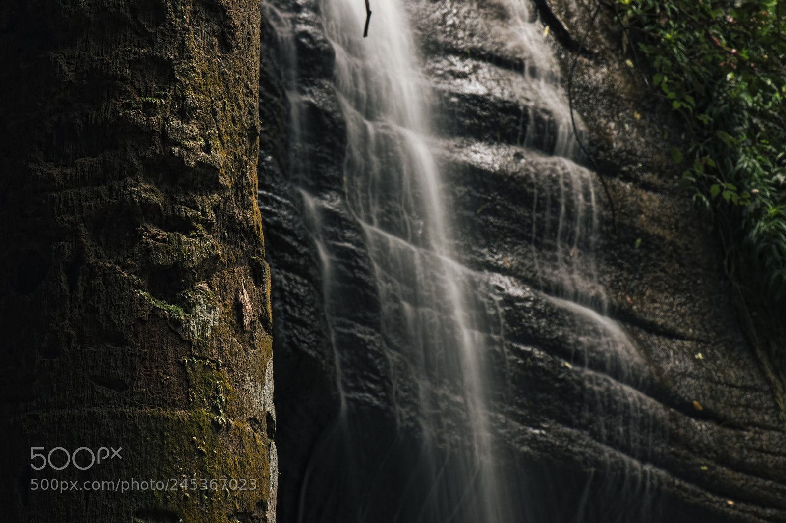 Nikon D800 sample photo. Serenity falls in buderim. photography