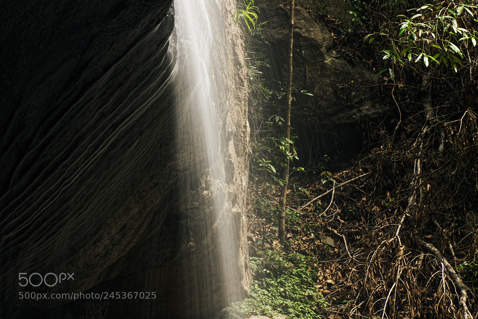 Nikon D800 sample photo. Serenity falls in buderim. photography