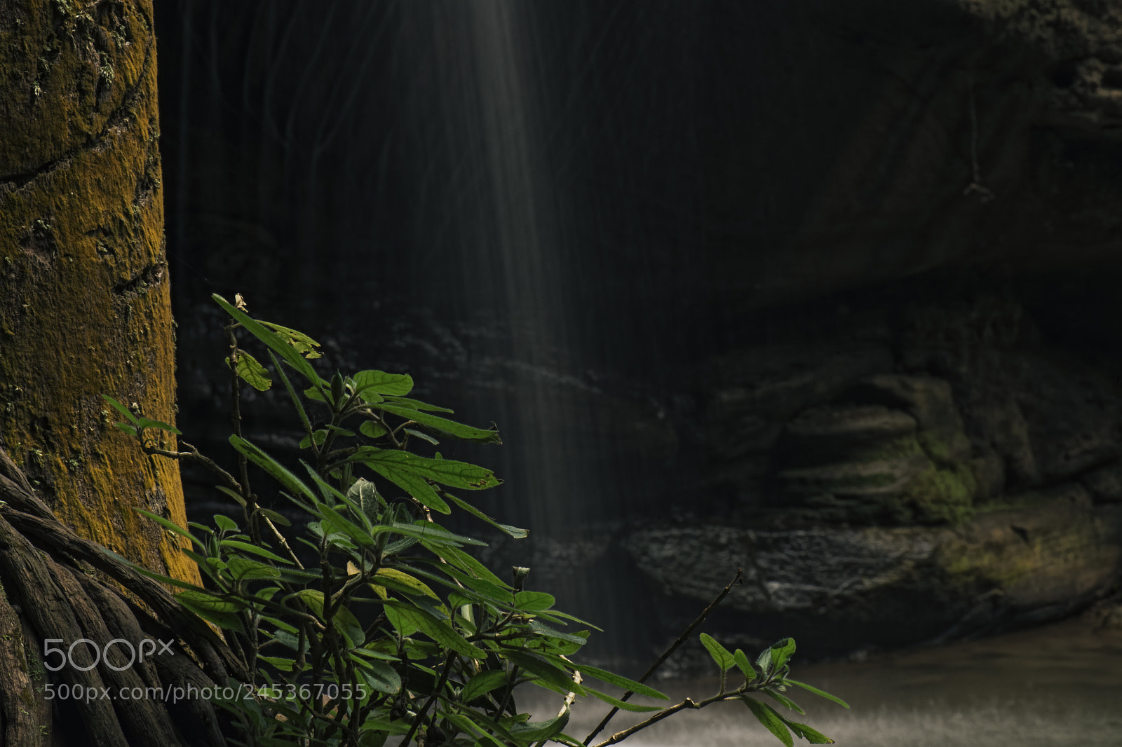 Nikon D800 sample photo. Serenity falls in buderim. photography