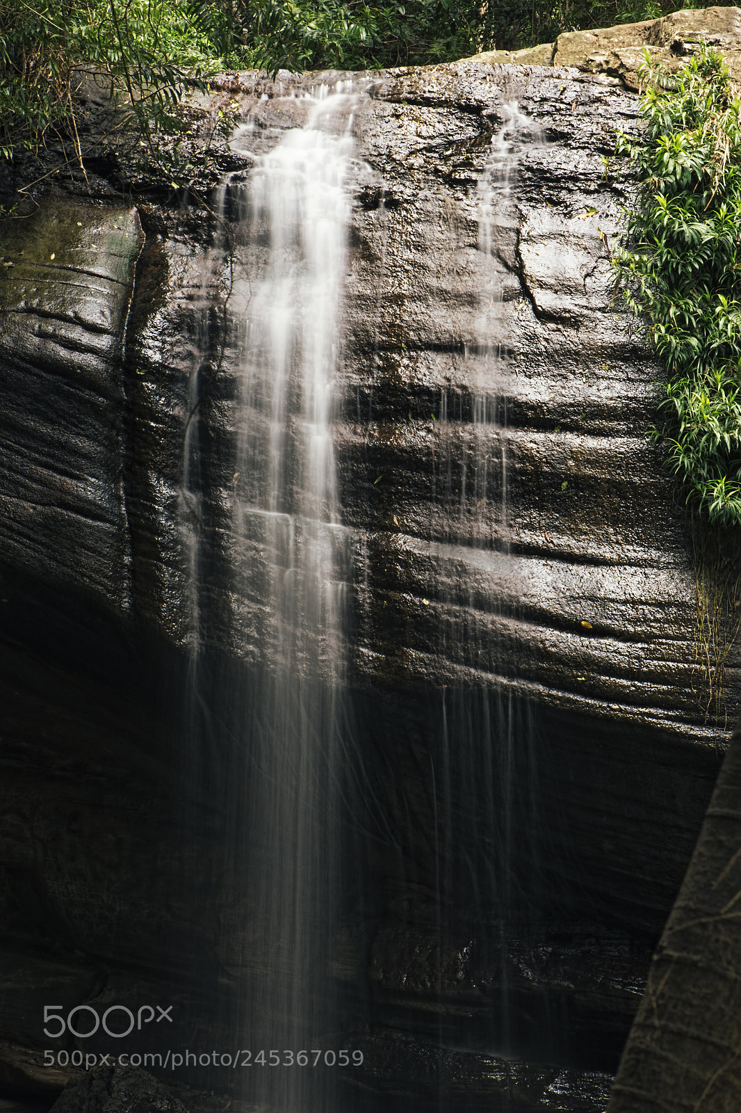 Nikon D800 sample photo. Serenity falls in buderim. photography