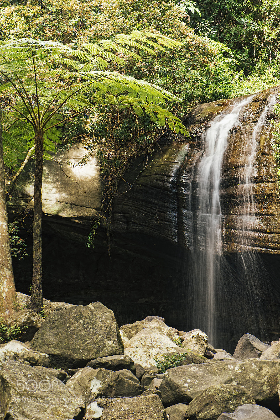 Nikon D800 sample photo. Serenity falls in buderim. photography