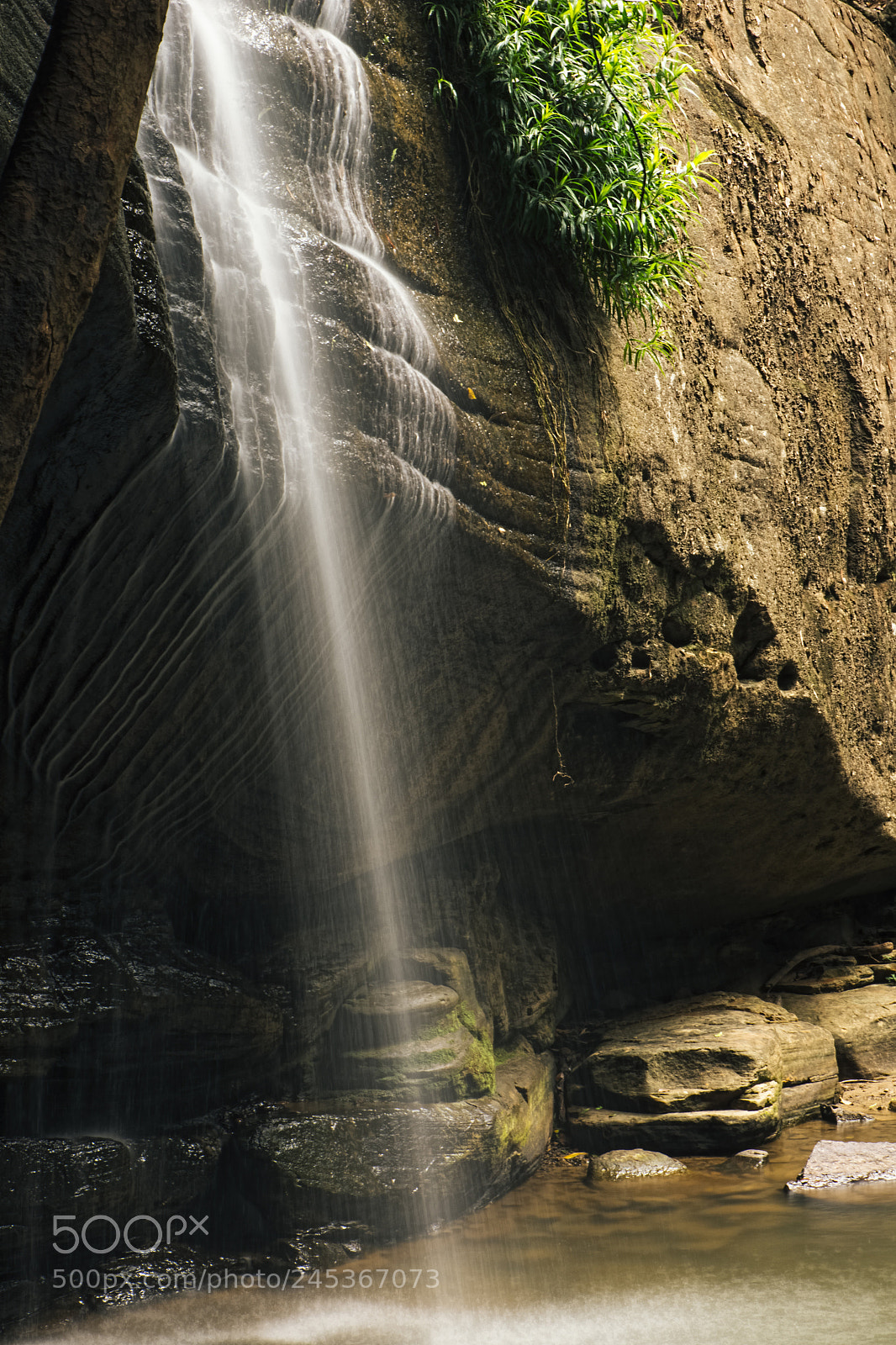 Nikon D800 sample photo. Serenity falls in buderim. photography