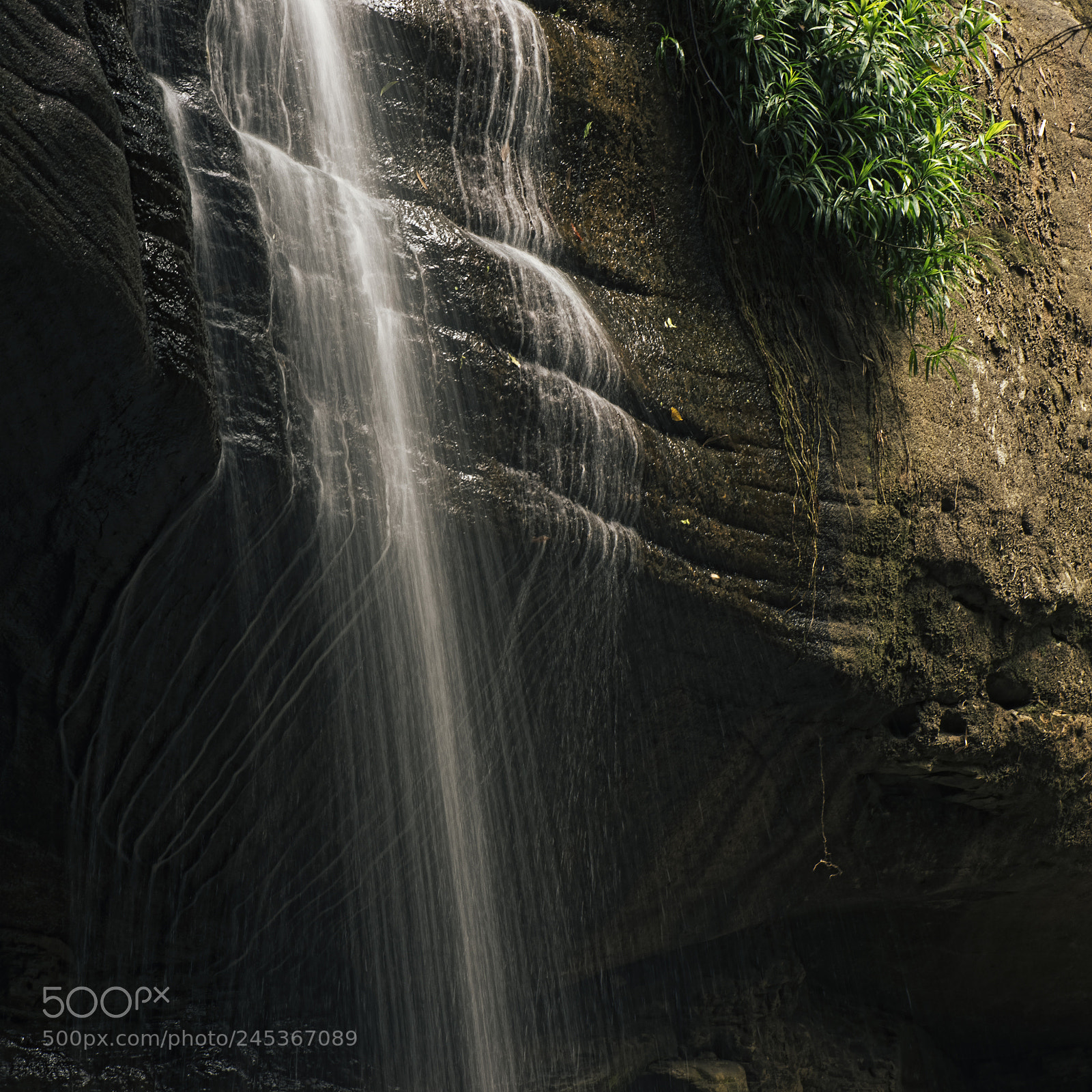 Nikon D800 sample photo. Serenity falls in buderim. photography