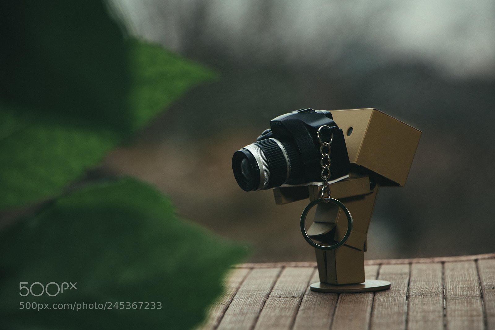 Canon EOS 760D (EOS Rebel T6s / EOS 8000D) sample photo. Danbo and his camera photography
