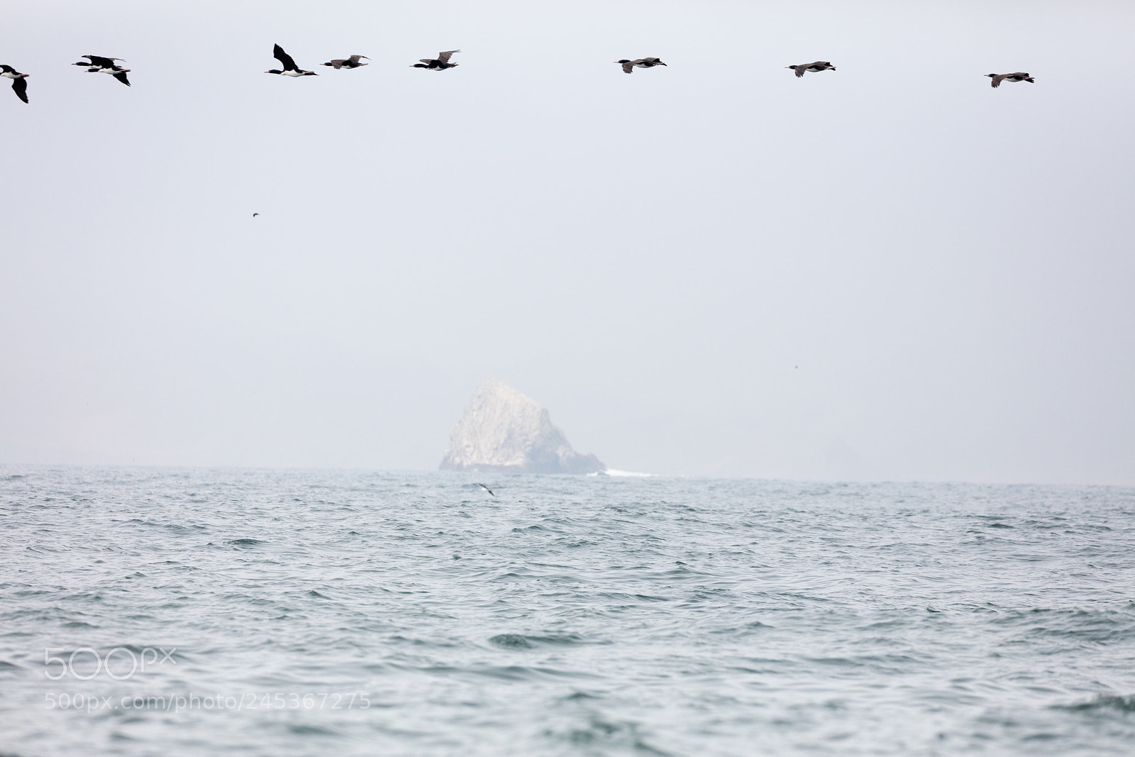 Canon EOS 5DS R sample photo. Ballestas islands, peru photography