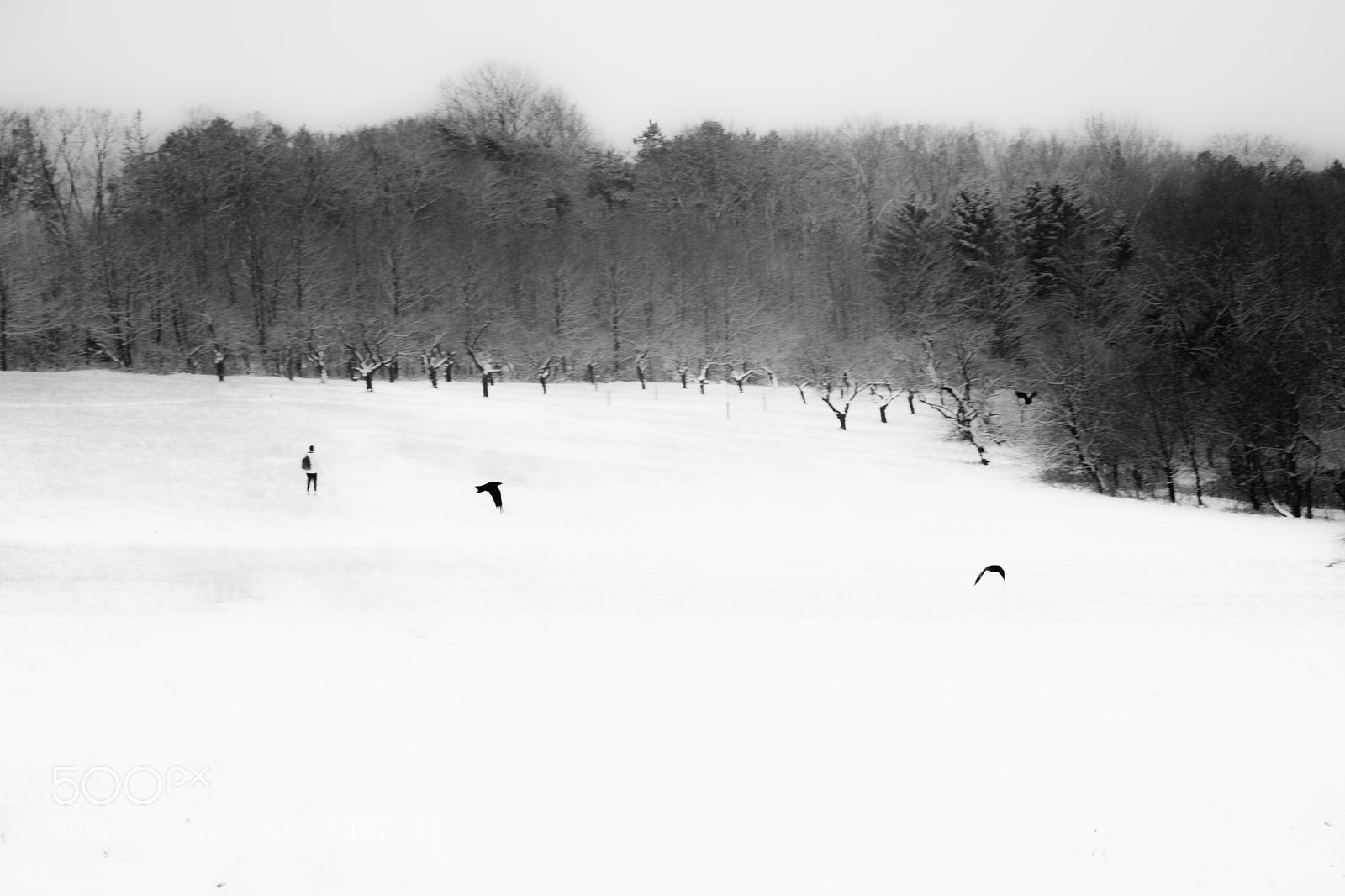 Canon EOS 40D sample photo. Traces photography