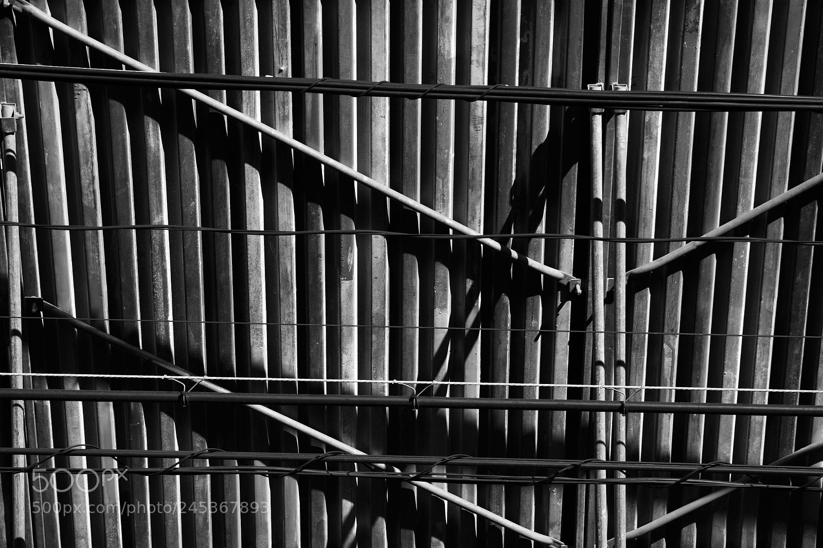 Nikon D500 sample photo. The iron photography